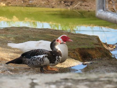 WhatsApp-Image-2024-09-02-at-19.28.47-1