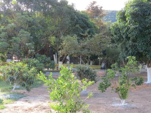 WhatsApp-Image-2024-09-02-at-19.28.51